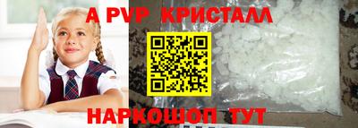 спиды Гай