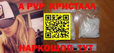 спиды Гай