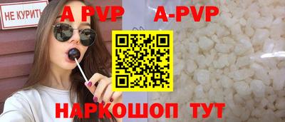 спиды Гай