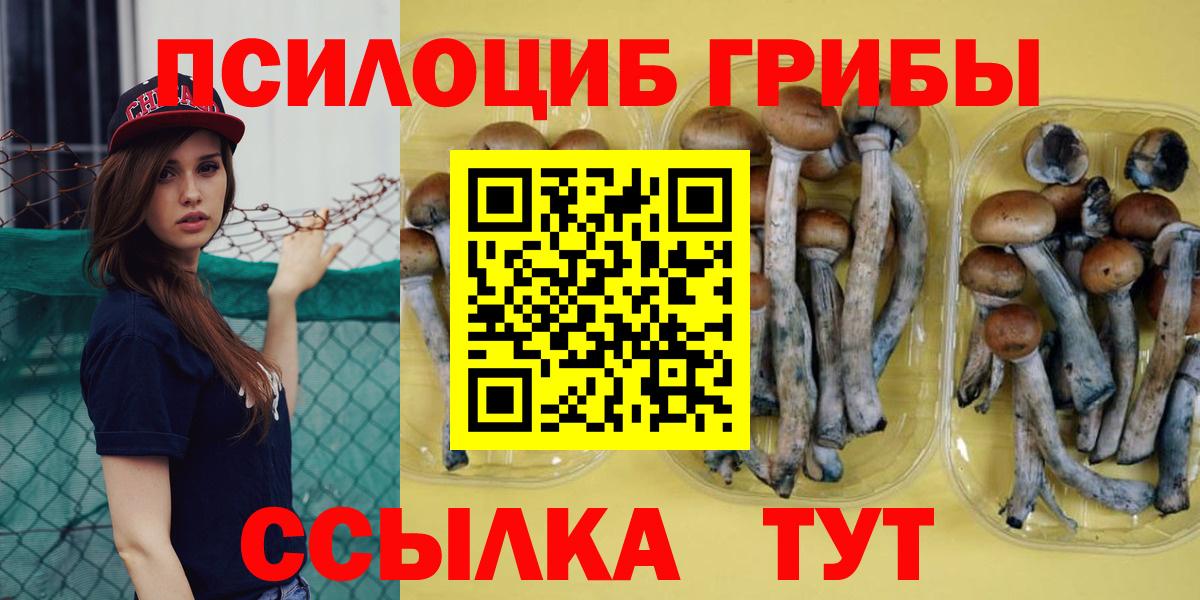 Надым  Псилоцибиновые грибы Psilocybe  Галлюциногенные грибы ЛСД  Вход с VPN 
